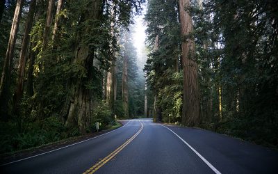 Le transport de marchandises et la transition écologique, sujet important évoqué lors de la journée France logistique