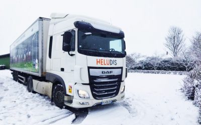 Actualité du transport routier – Novembre 2024