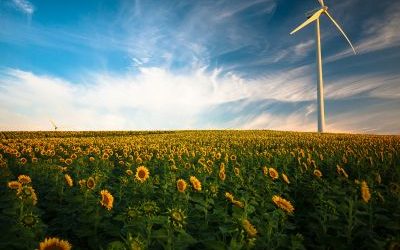 Projet de loi de finances 2026 : quel avenir pour la fiscalité du B100 partout en France ?