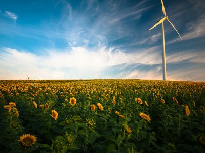 Projet de loi de finances 2026 : quel avenir pour la fiscalité du B100 partout en France ?