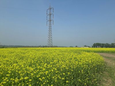 Le gouvernement freine les biocarburants